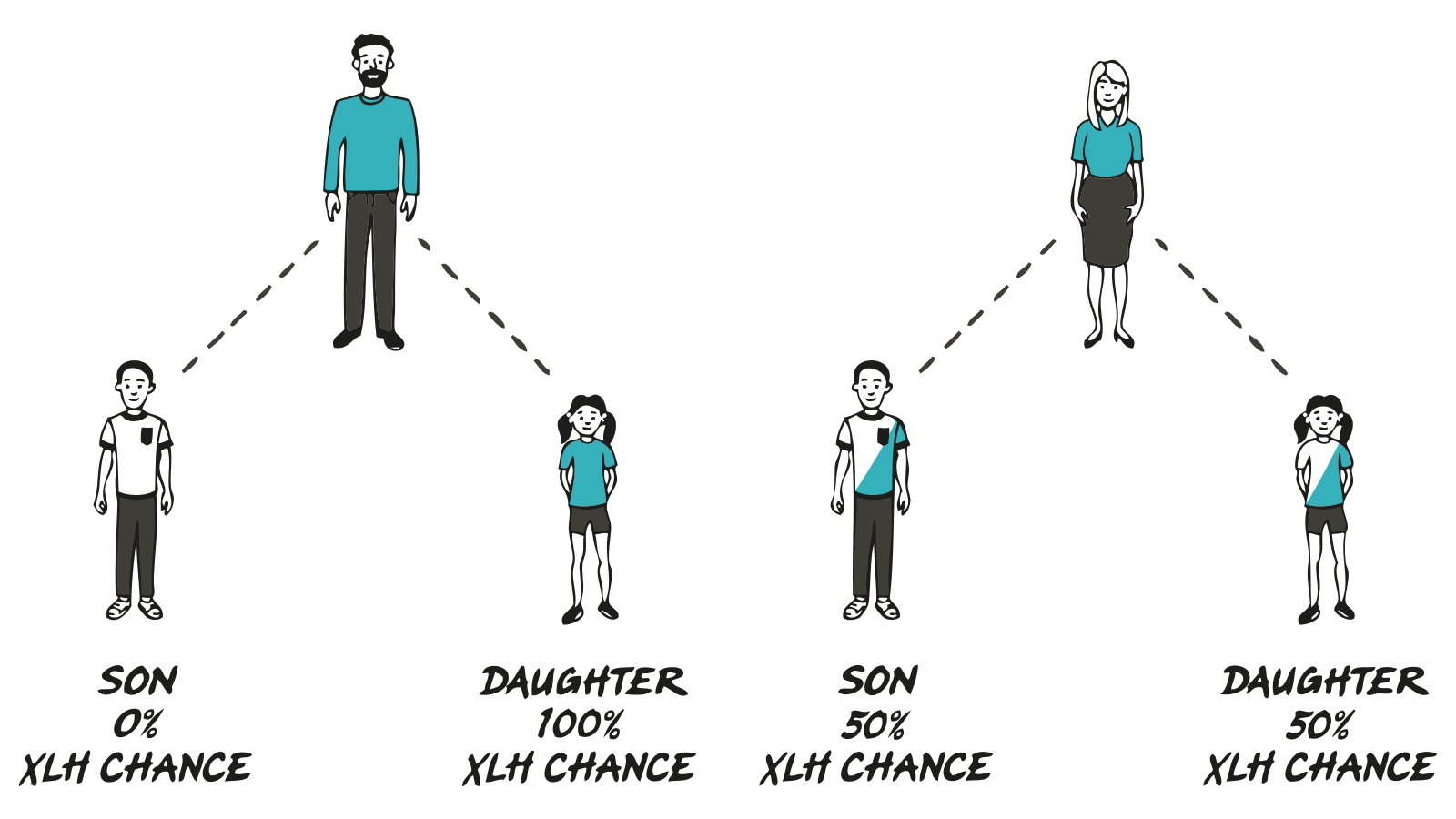 X- & Y-chromosome inheritance patterns of XLH